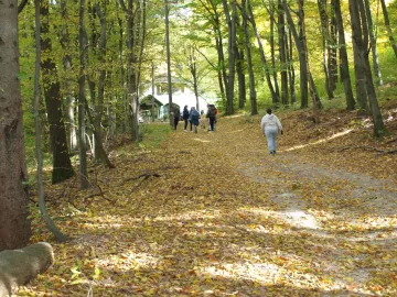 feherkolapa-2025-09.jfif